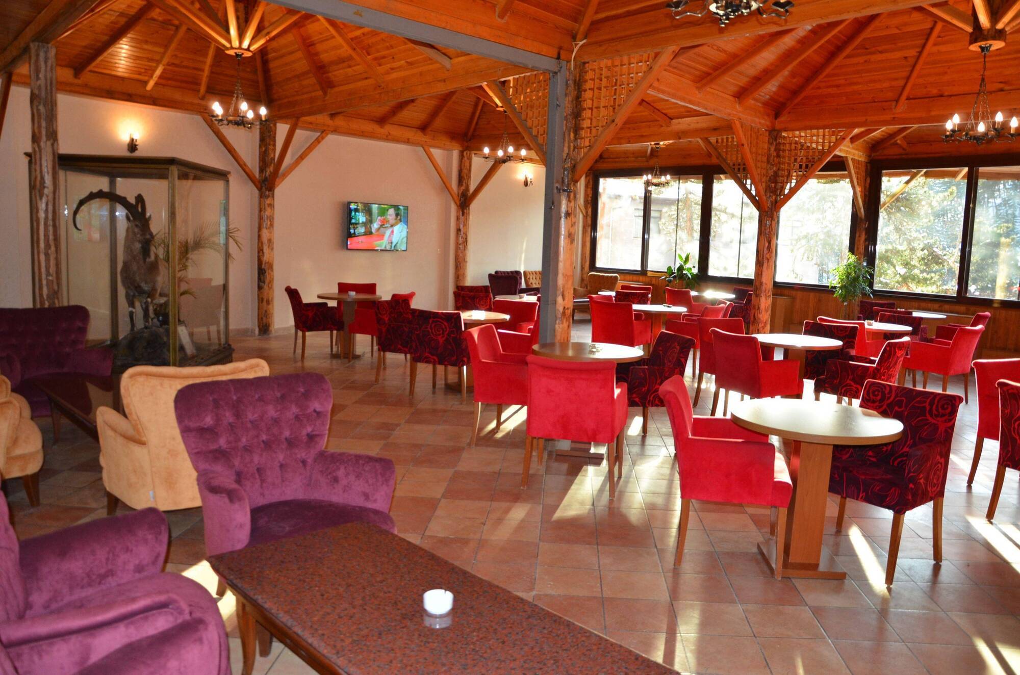 Patalya Thermal Resort Hotel Kızılcahamam Exterior foto